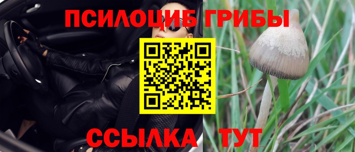 Псилоцибиновые грибы мухоморы Кызыл