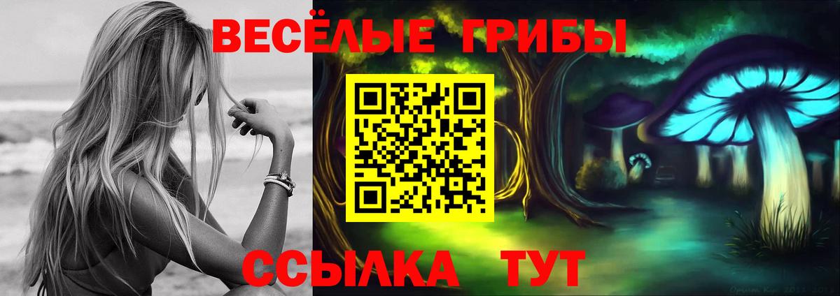 Галлюциногенные грибы прущие грибы  Вход с VPN  Псилоцибиновые грибы Cubensis  Кызыл 